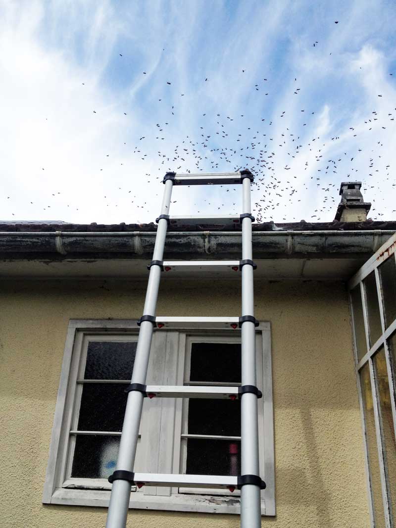 Espaces publics et établissements