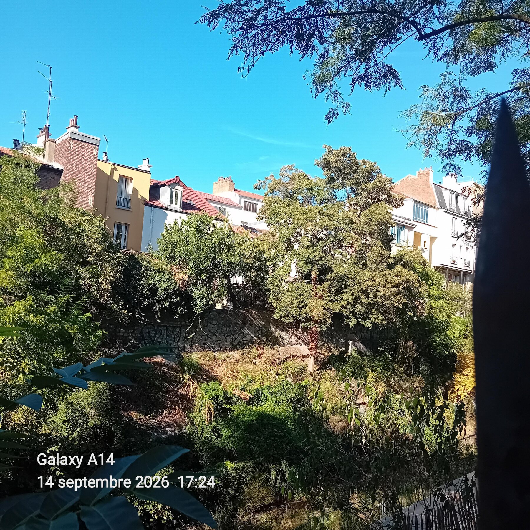 Talus arboré de la Petite Ceinture parisienne